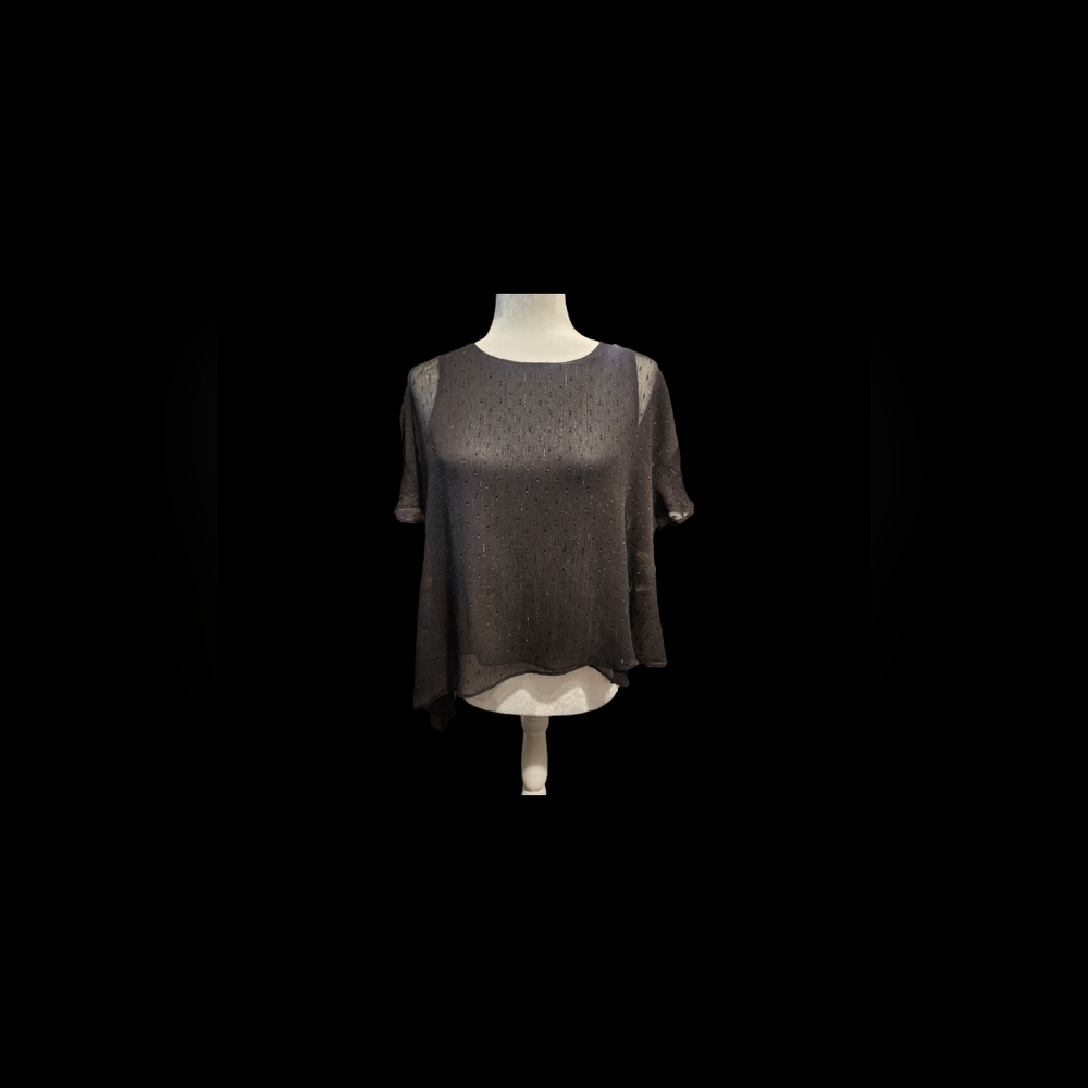 Express Black Sheer Blouse